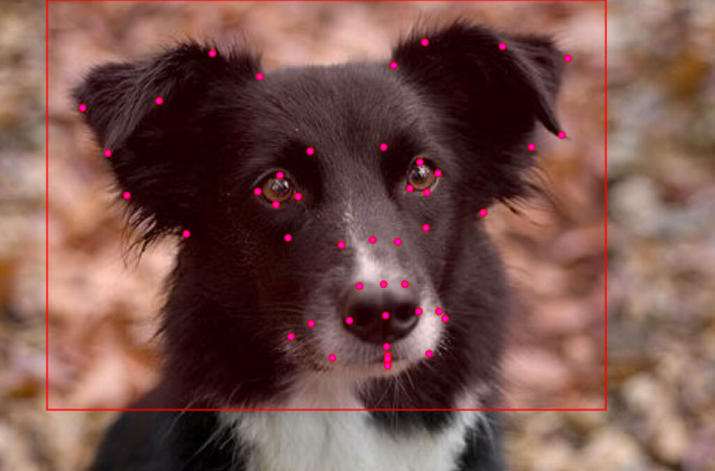 DogFLW: Dog Facial Landmarks in the Wild Dataset